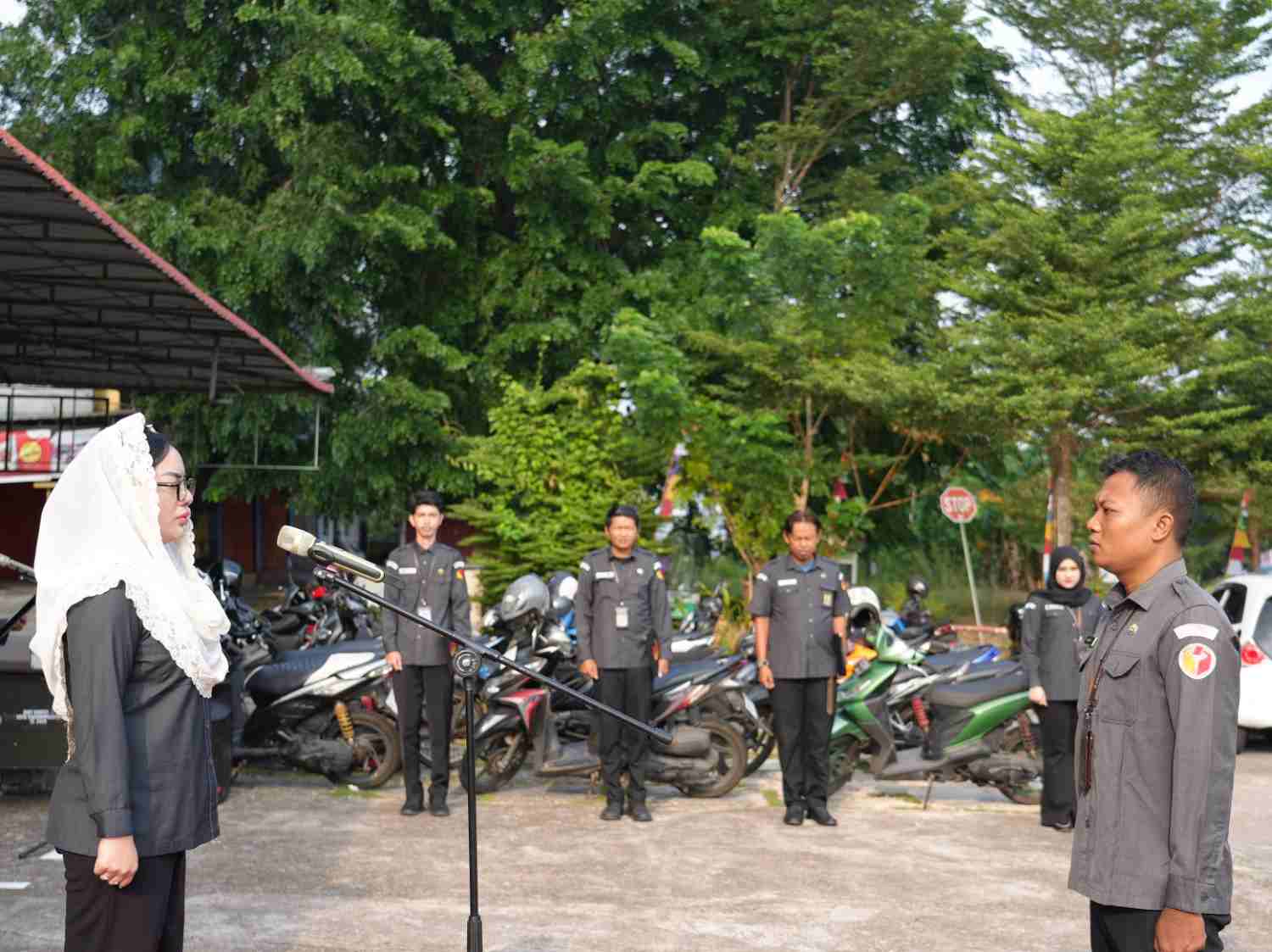 Apel