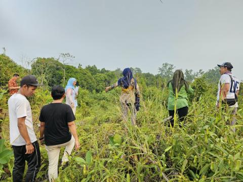 pemeriksaan tanah