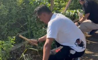 gotong royong