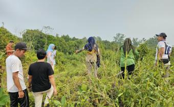 pemeriksaan tanah